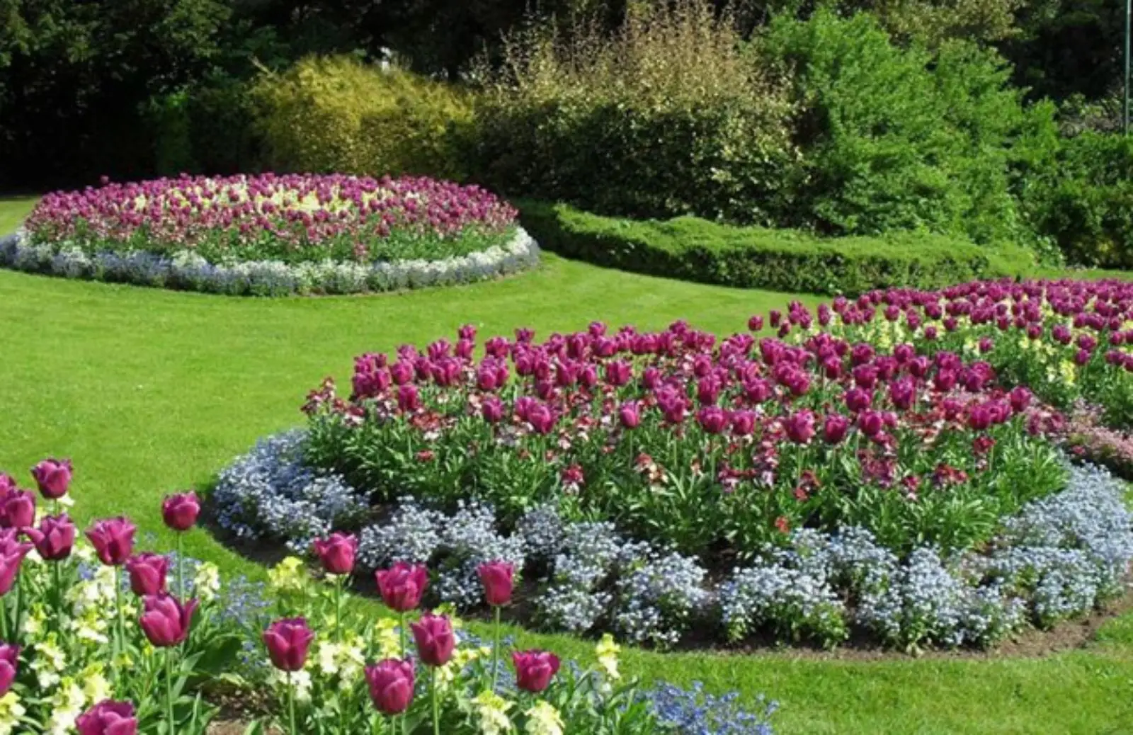 Ecco il preventivo per far progettare un giardino: i costi medi per il 2025