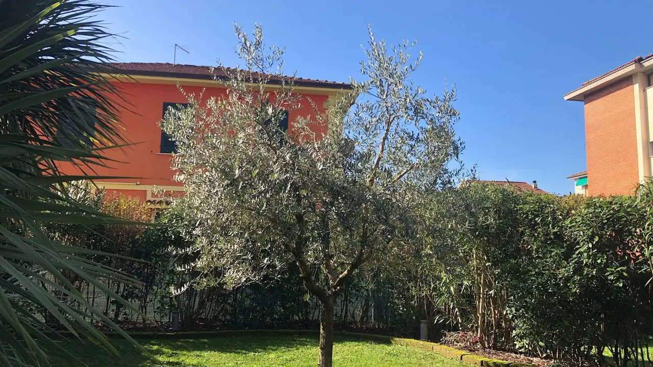 Cosa mettere apposta per far salire l’umidità in giardino: ecco il trucco semplice