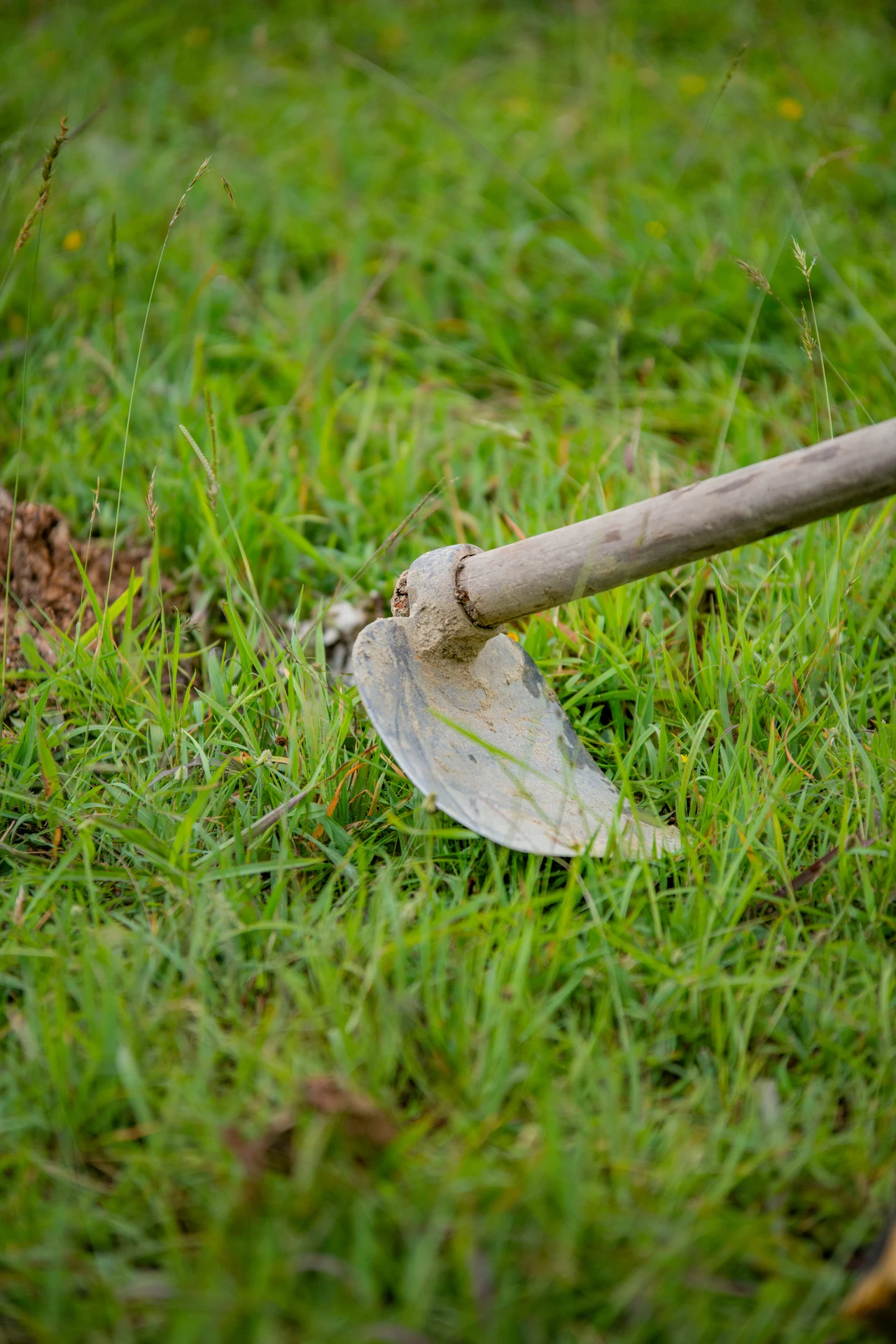 Ecco i tre trucchi per zappare la terra al momento giusto: il secondo cambia tutto