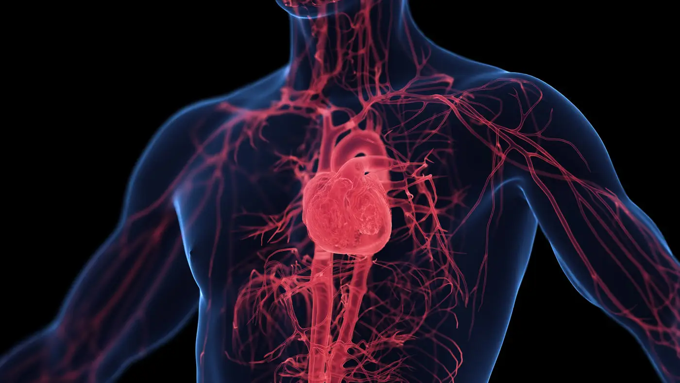 Pensi di essere a basso rischio cardiovascolare? Ecco cosa significa davvero e se puoi stare tranquillo