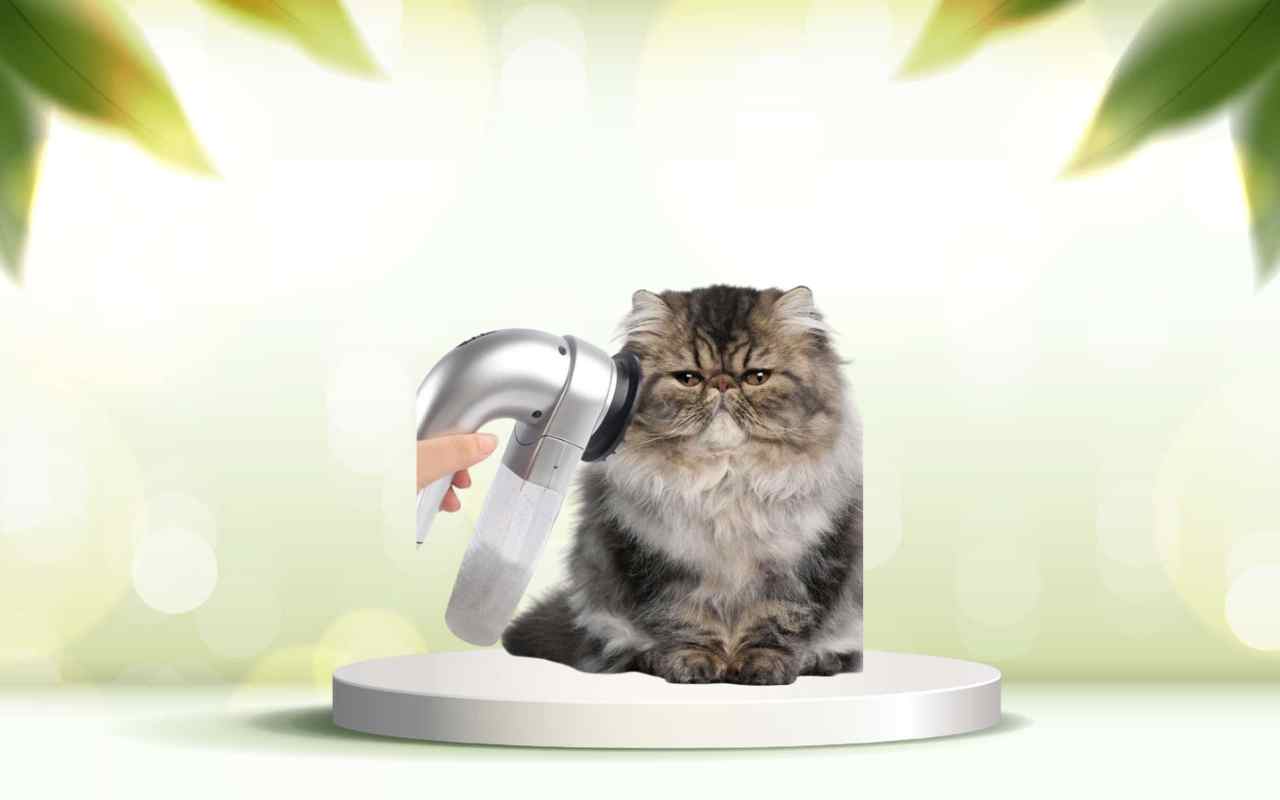 Dì addio ai peli in casa con SpazzolAmica: la spazzola aspirante per animali